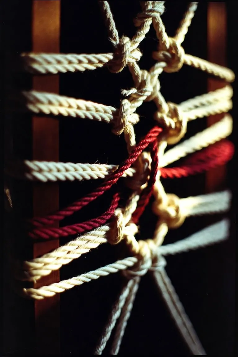 Cordes de shibari nouées : univers BDSM et bondage